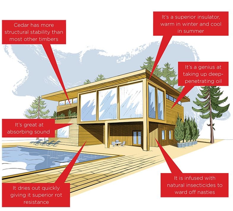 Cedar maintenance, designed with you in mind 4