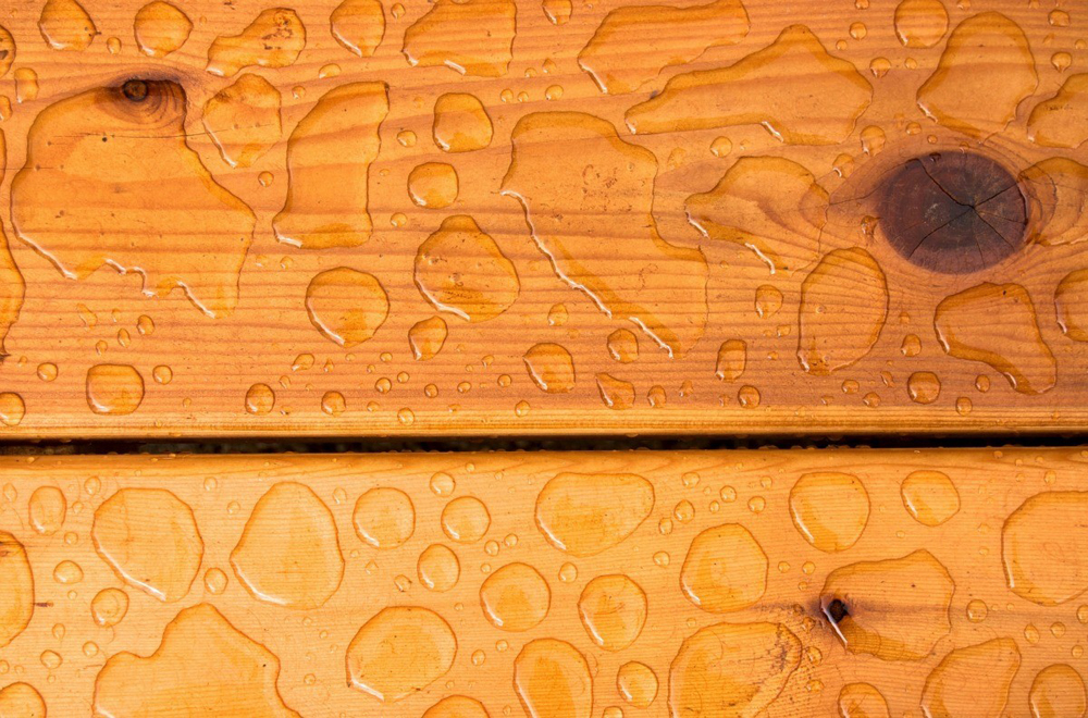 Best season to maintain cedar