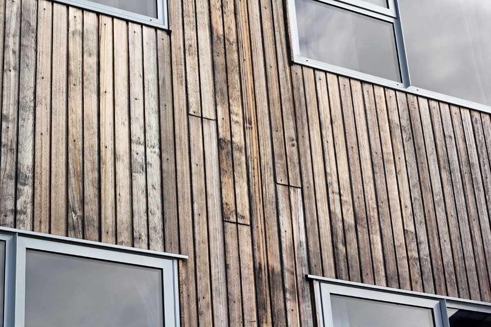 Signs your cedar needs attention