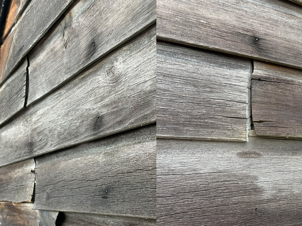 Cupped cedar