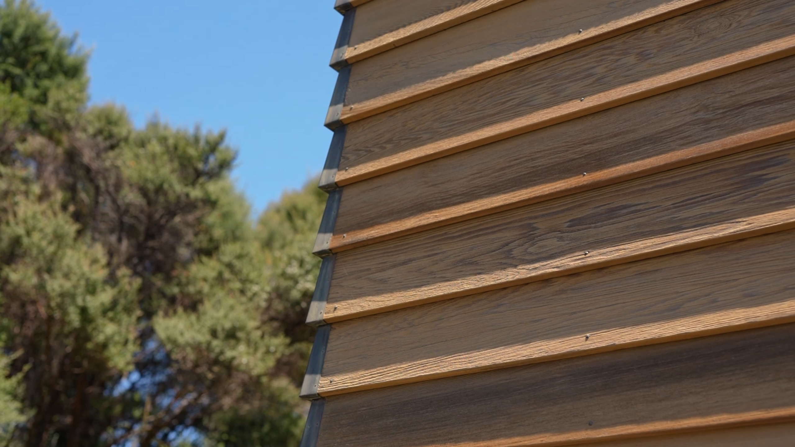 cedar-mount-honey